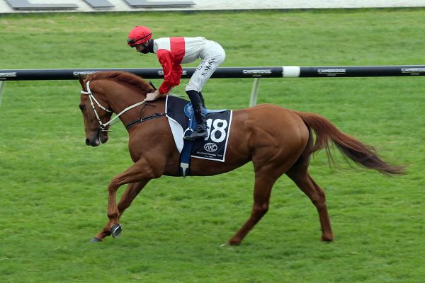 McKay breaks collarbone in Ellerslie fall