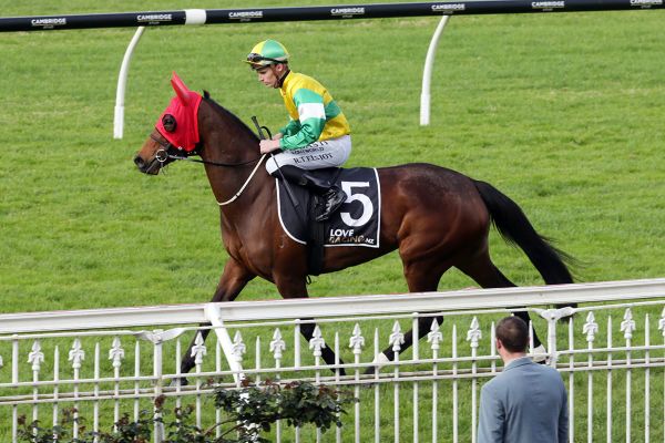 James pair ready for summer staying assignments