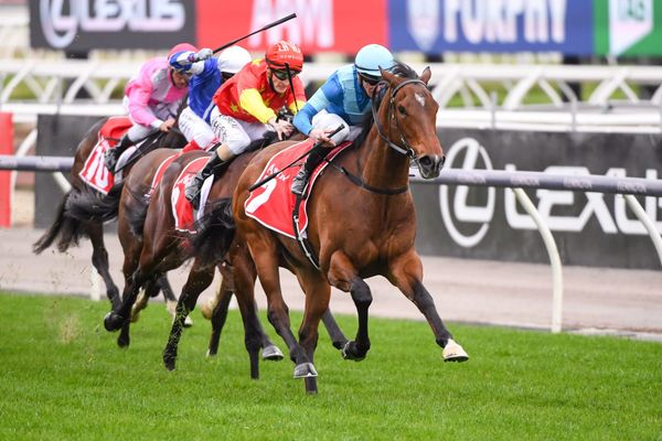 Crosshaven headed to Caulfield Guineas