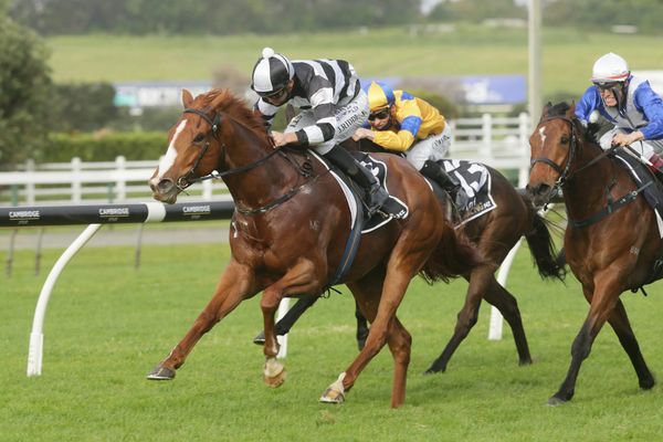 Fired up Dawn Patrol gets the job done at Ellerslie