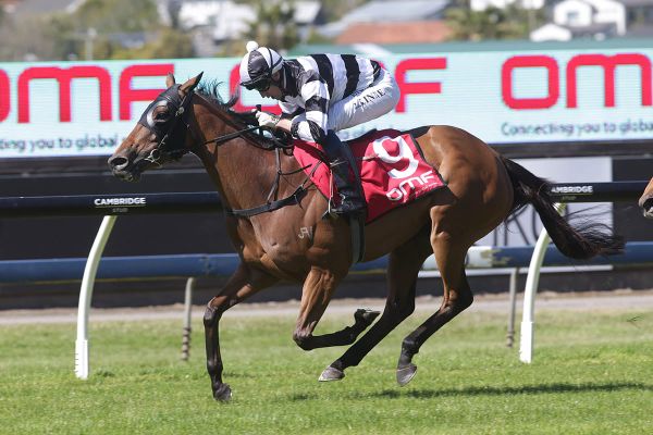 Last hurrah for Fiscal Fantasy