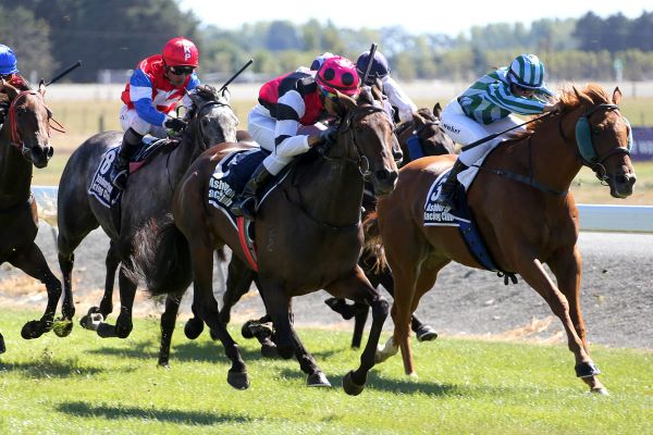 Strong Southland hand for Team Tyler