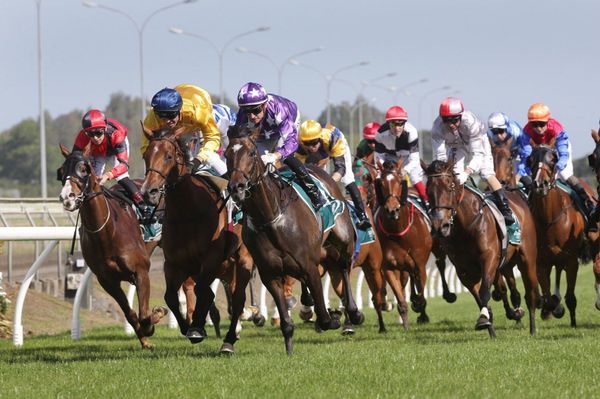 Ready to Run Sale trainers series schedule announced