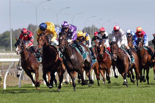Ready to Run Sale trainers series schedule announced