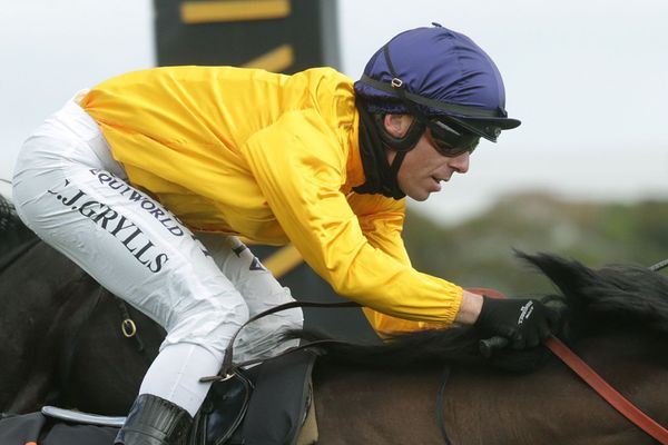 Grylls taking flight