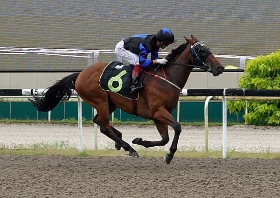 Happy Saturday for Kok