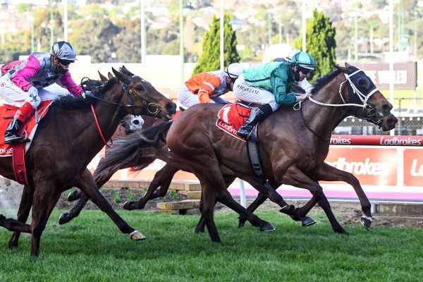 Two-pronged attack on Cox Plate looms for Carter family