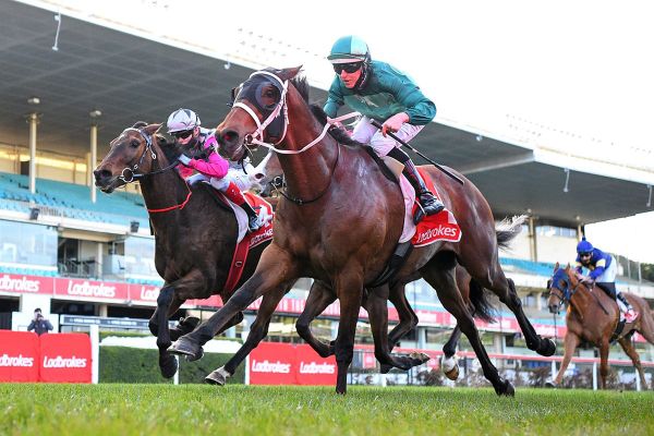 Surprise Baby ready for Flemington fight