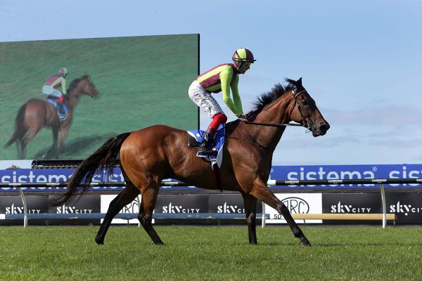 Julius doubtful for Tarzino