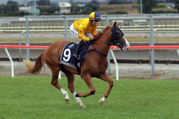 Kelly Renee searching for maiden victory