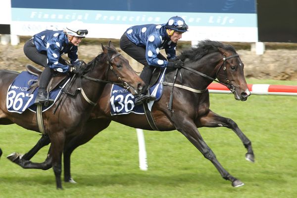 Catalogue launched for NZB Ready To Run Sale