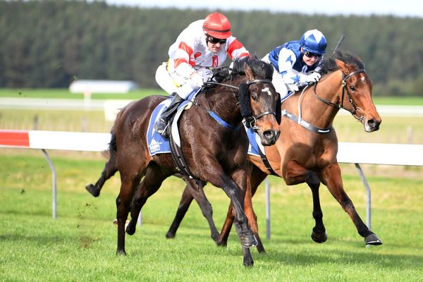 Auret vying for back-to-back Guineas