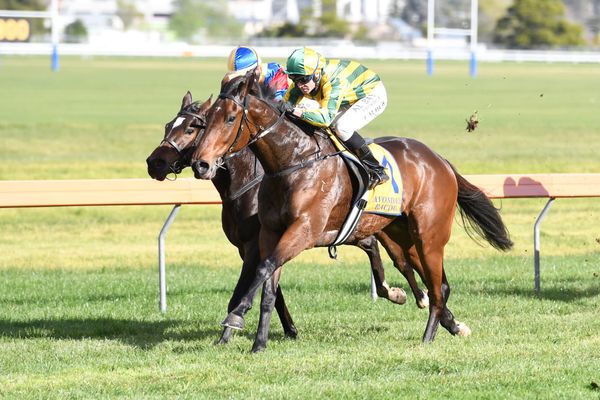 Collett bullish with weekend prospects