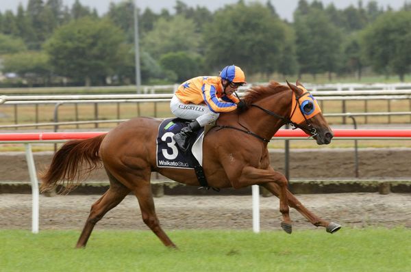 Blinkers to help Richards duo on raceday