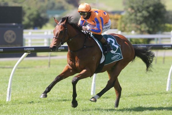 Te Akau Racing take first two-year-old race this season