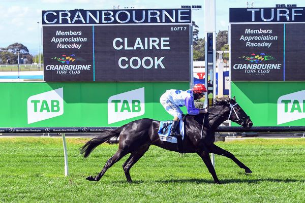 Bright future forecast for Cloud