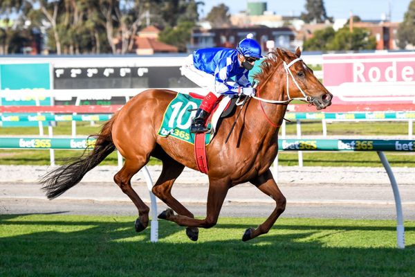 Simply Optimistic back in the winner’s circle