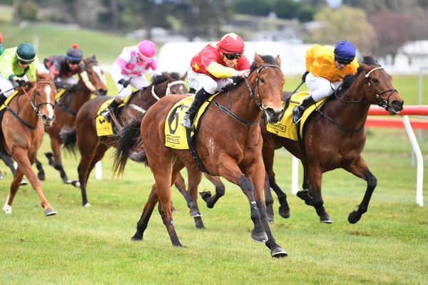 Baker-Forsman pair tackle 3YO feature