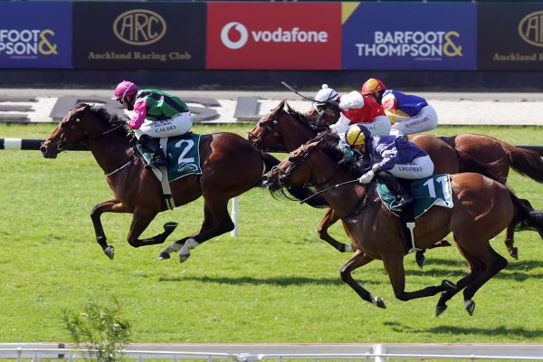 Collett has high hopes for impressive Ellerslie winner