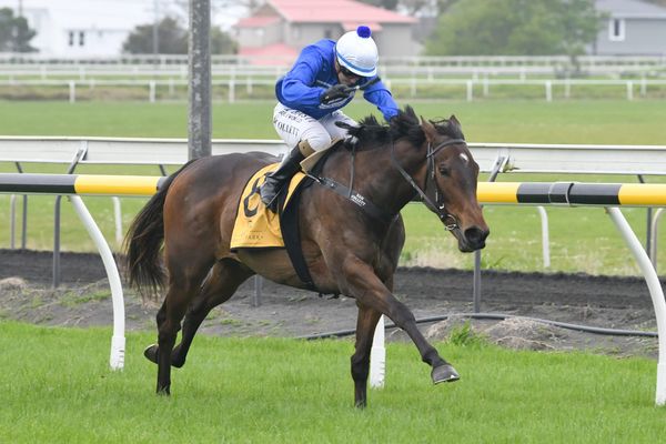 Shining light came through for Brosnan