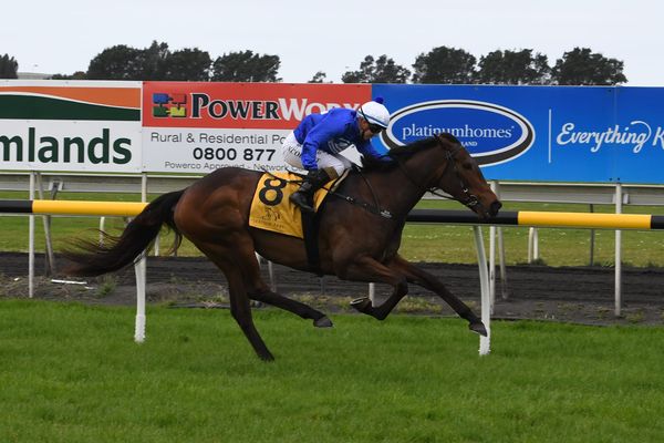 Matamata mare reigns supreme at New Plymouth
