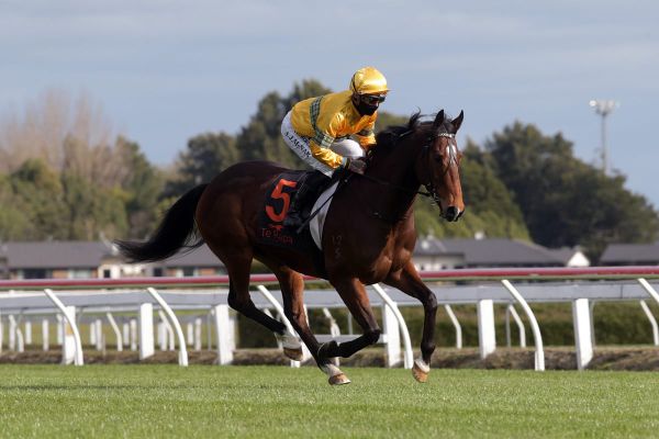 All roads lead to Hastings after Foxbridge Plate wash up