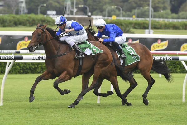 The Bostonian ruled out of spring