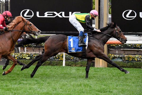 Caulfield Cup 2020: The final field