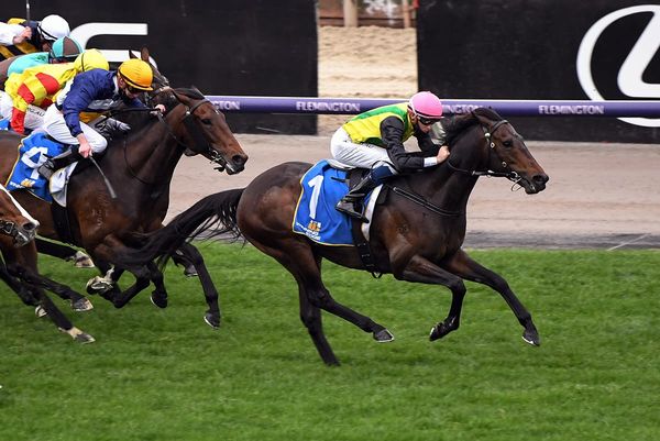 A day of contrast for Baker and Forsman at Flemington