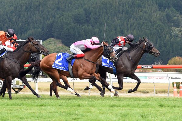 The Mitigator chasing further Group One success