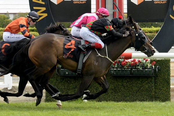 Tiptronic building nicely