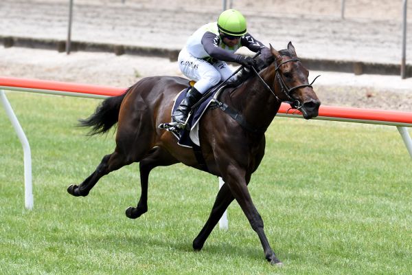 Hawke’s Bay runners provide plenty of optimism for Gerard