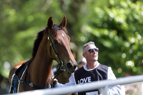 Travelling Light out of spring