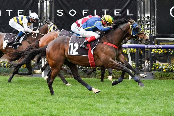 Travimyfriend stakes winner 21 for Tavistock