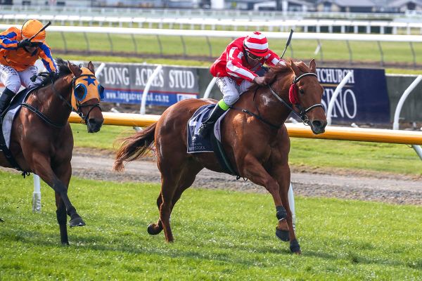 Familiar look to Riccarton results with Pitman double