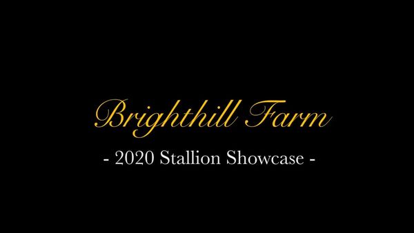 VIDEO: Brighthill Farm