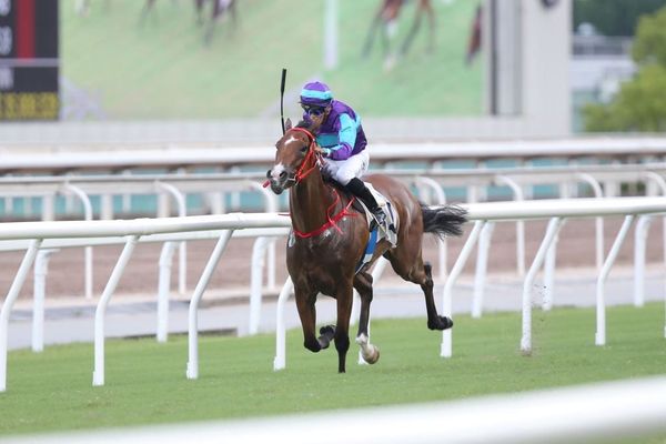 Lor confident Winning Dreamer can bounce back