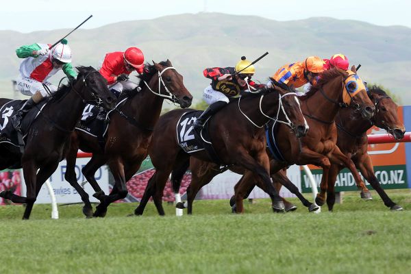Blanket finish to Hawke’s Bay Guineas