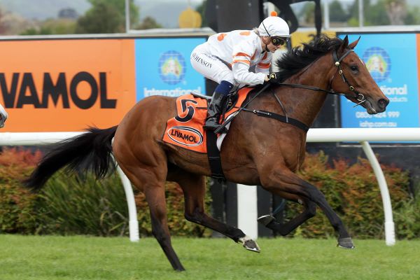 Exciting filly remains unbeaten with Hastings victory