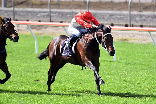 Sizeable offer snares Guineas runner-up