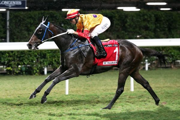 Caspar Fownes begins the journey towards staying features with promising Columbus County