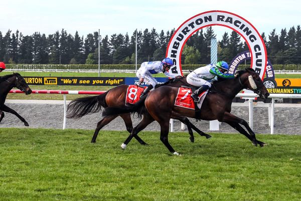 Cornflower Blue takes Ashburton three-year-old feature