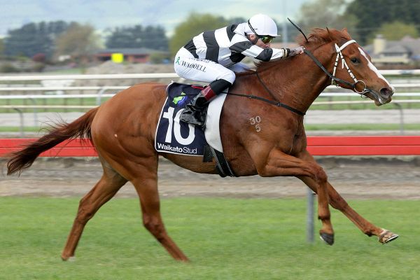 Cup assignment for Dawn Patrol