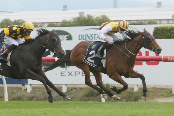 Course specialist takes fillies feature