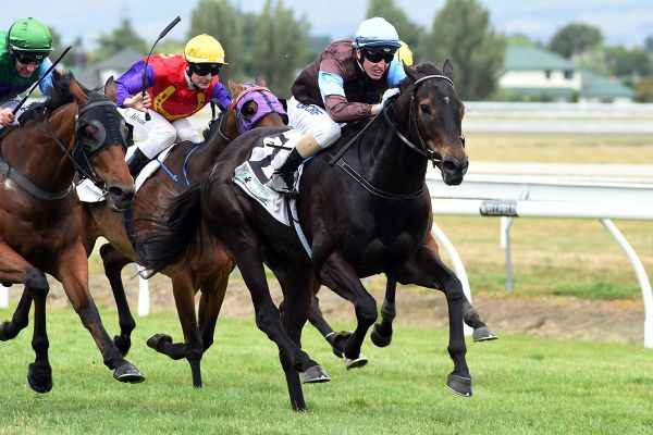 Big impost for Dolcetto