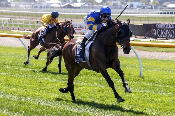 Decisions to be made on Dragon’s direction