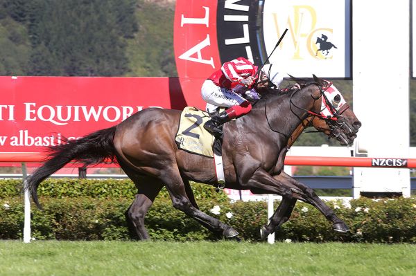 Busy time for Pitman