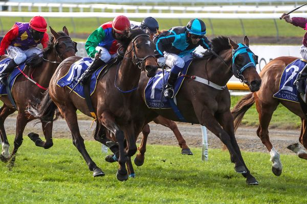 Flying Five Princes builds towards New Zealand Cup
