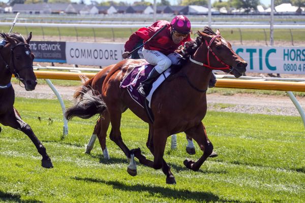 Rae’s phone red hot after speedy juvenile wins again