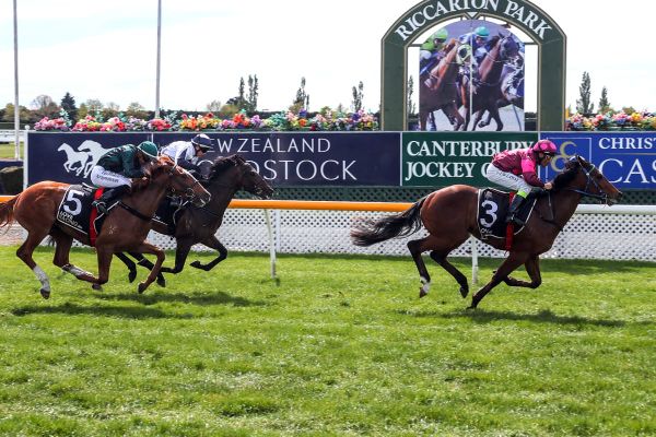 Karaka Million order of entry released
